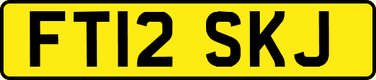 FT12SKJ