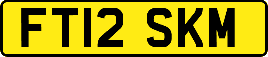 FT12SKM