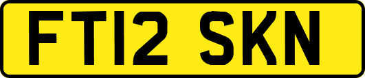 FT12SKN