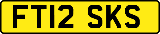 FT12SKS