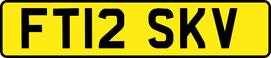 FT12SKV