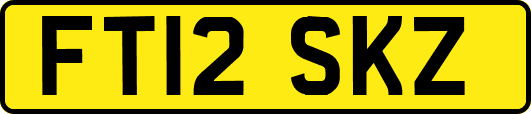 FT12SKZ