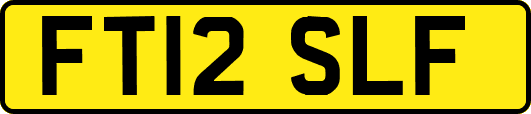 FT12SLF
