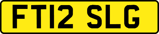 FT12SLG