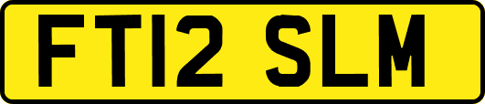 FT12SLM