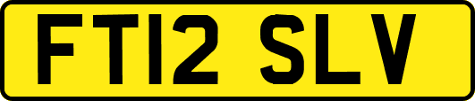 FT12SLV