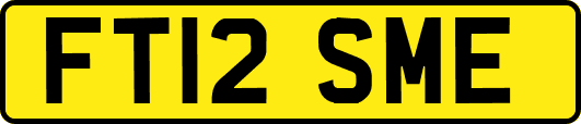 FT12SME