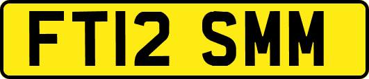 FT12SMM