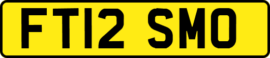 FT12SMO