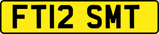 FT12SMT