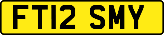 FT12SMY