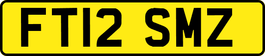 FT12SMZ