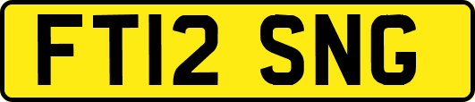 FT12SNG