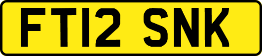 FT12SNK
