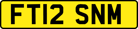 FT12SNM