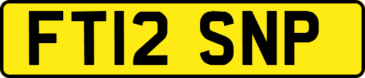 FT12SNP