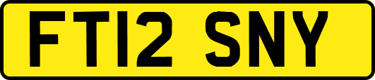FT12SNY