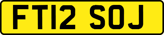 FT12SOJ