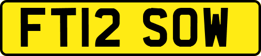 FT12SOW