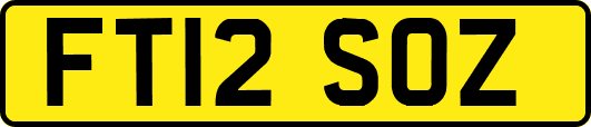 FT12SOZ