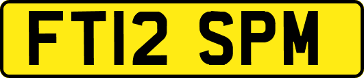 FT12SPM