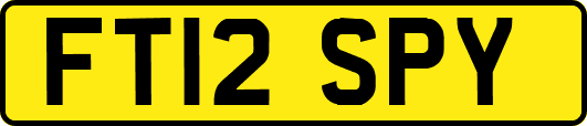 FT12SPY