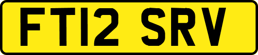 FT12SRV