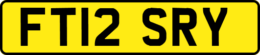 FT12SRY