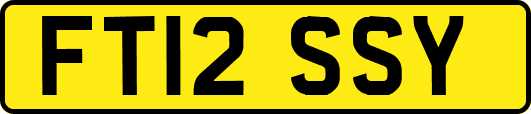 FT12SSY
