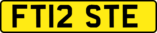 FT12STE