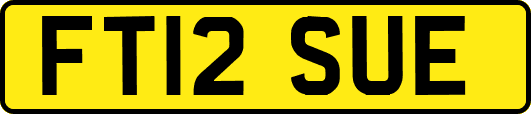 FT12SUE