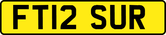 FT12SUR