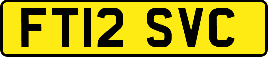 FT12SVC