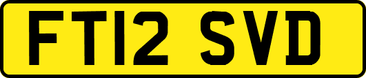 FT12SVD