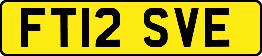 FT12SVE