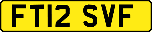FT12SVF