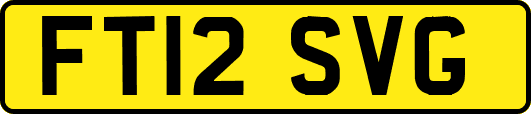 FT12SVG