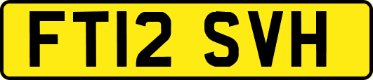 FT12SVH