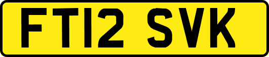 FT12SVK