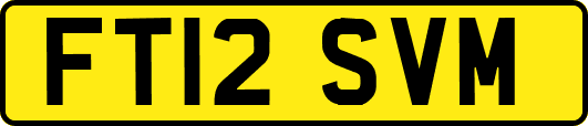 FT12SVM