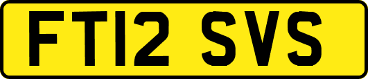 FT12SVS