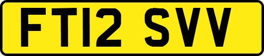FT12SVV