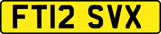 FT12SVX