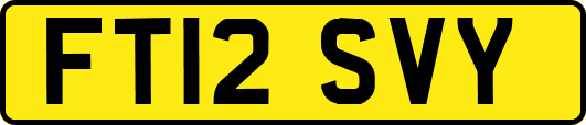FT12SVY