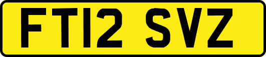 FT12SVZ