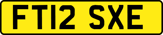 FT12SXE