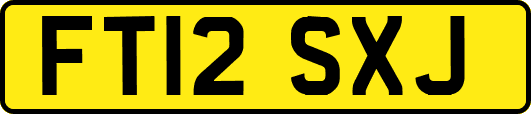 FT12SXJ