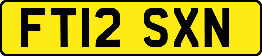 FT12SXN