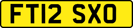 FT12SXO