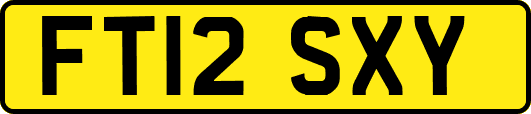 FT12SXY